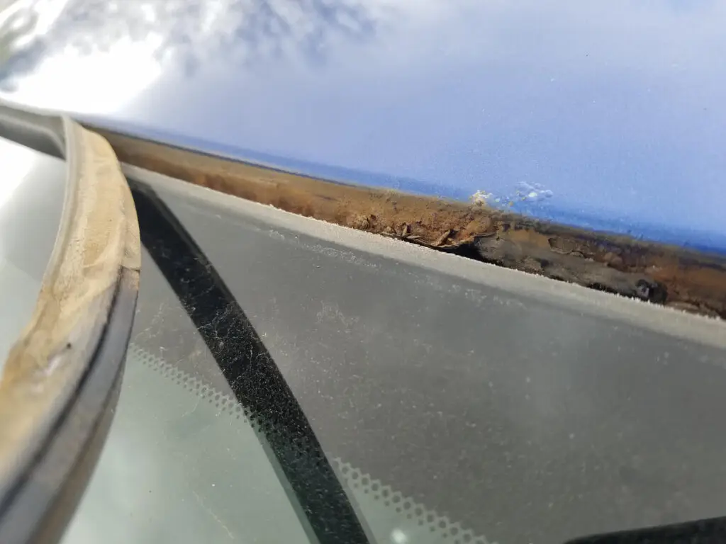 Why Bad Windshield Installers Cause Rust | Protect Your Vehicle